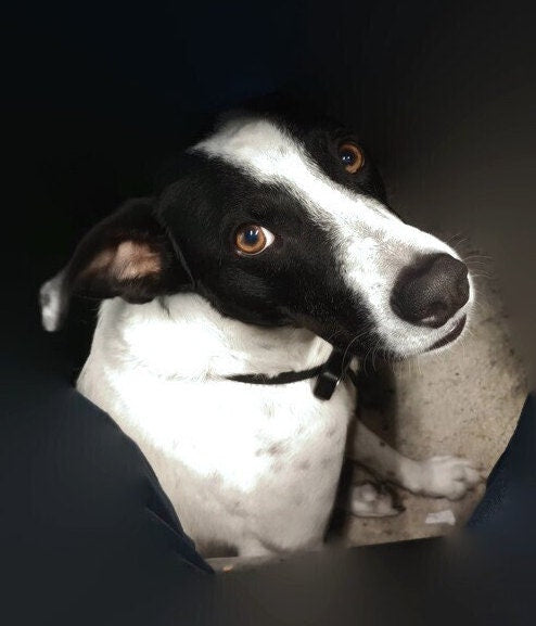 Kids Craft Halloween Banner, paint and design your Halloween any way you wish for children and adults alike. great decorations for halloween