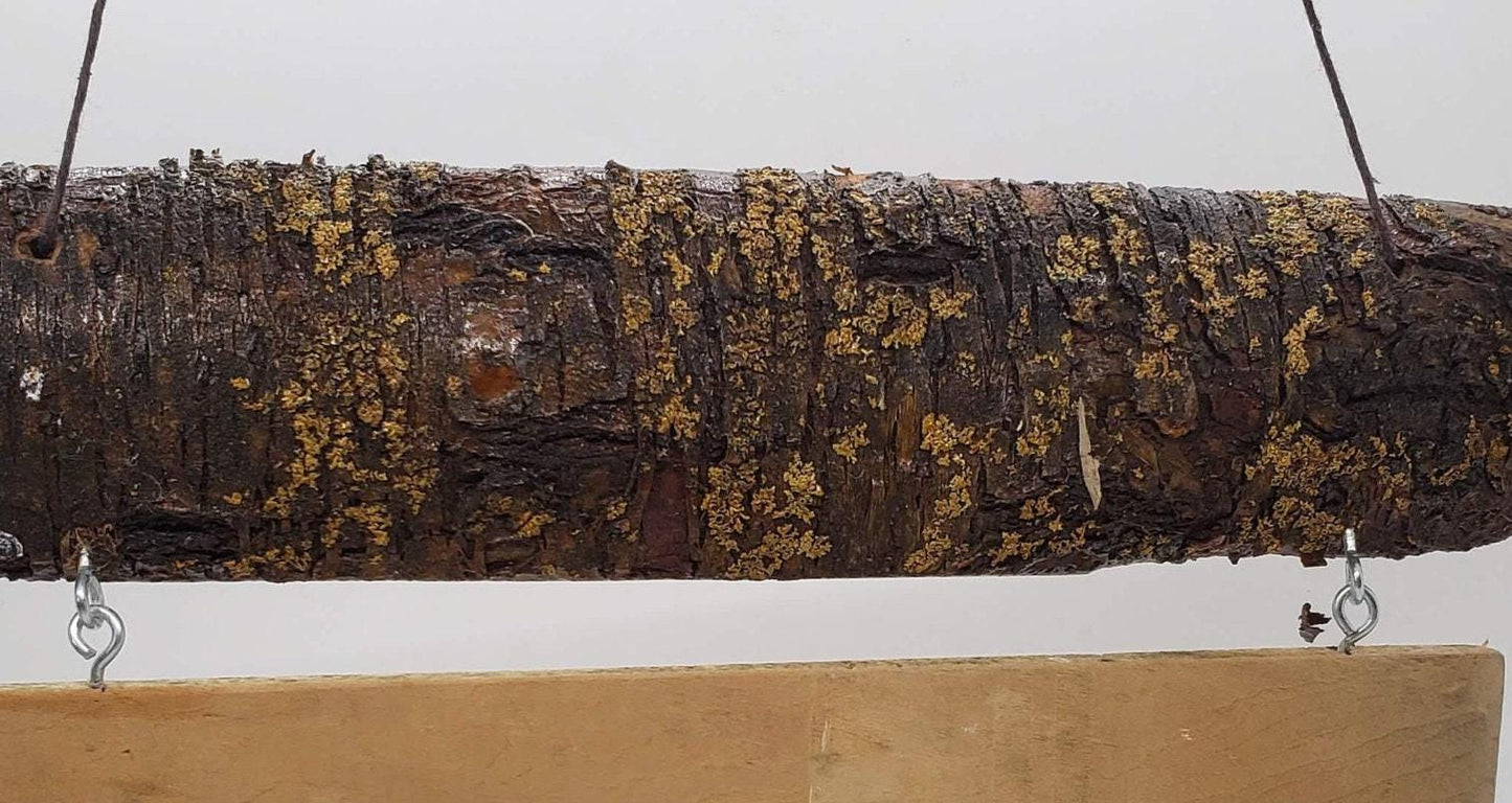 This is a funny sign that would look great on the front door of a cabin or a lakeside bar. It features the words "Old Hookers Welcome"!