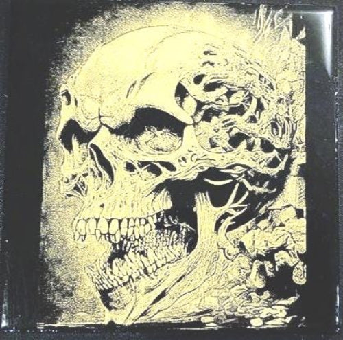 Intricately detailed skull design set against a stark black backdrop, capturing a blend of gothic elegance and macabre charm.